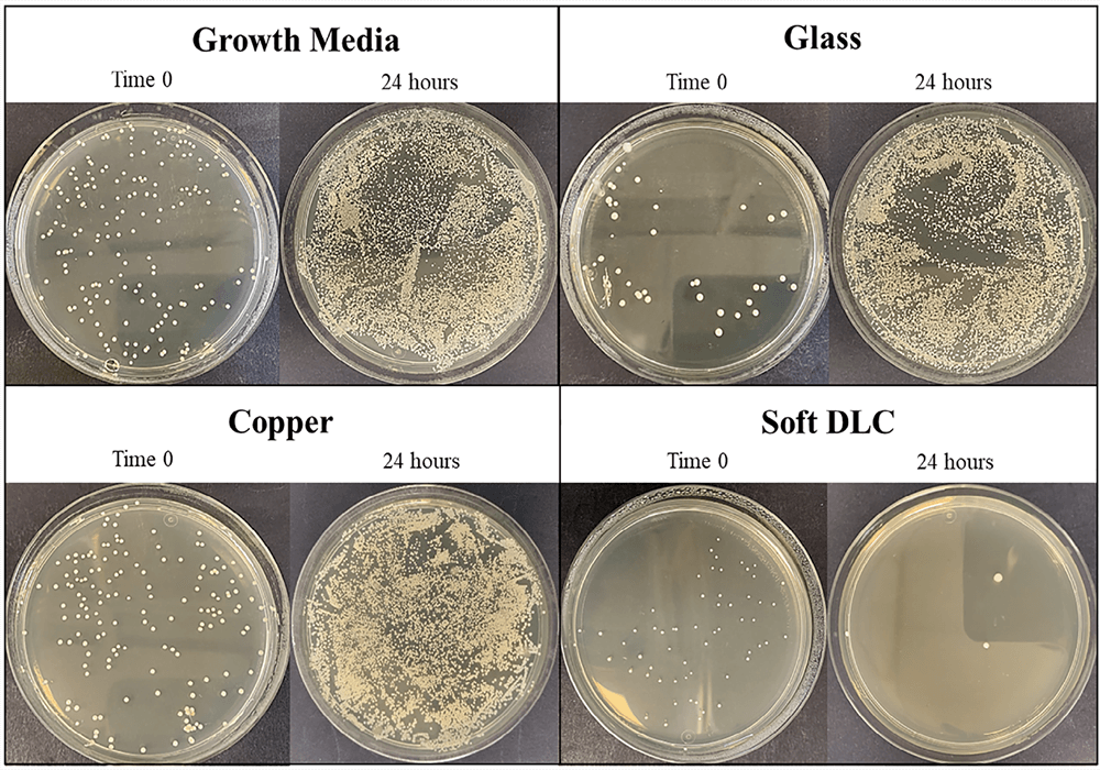 Concurrent Biocompatibility and Antimicrobial Functionality