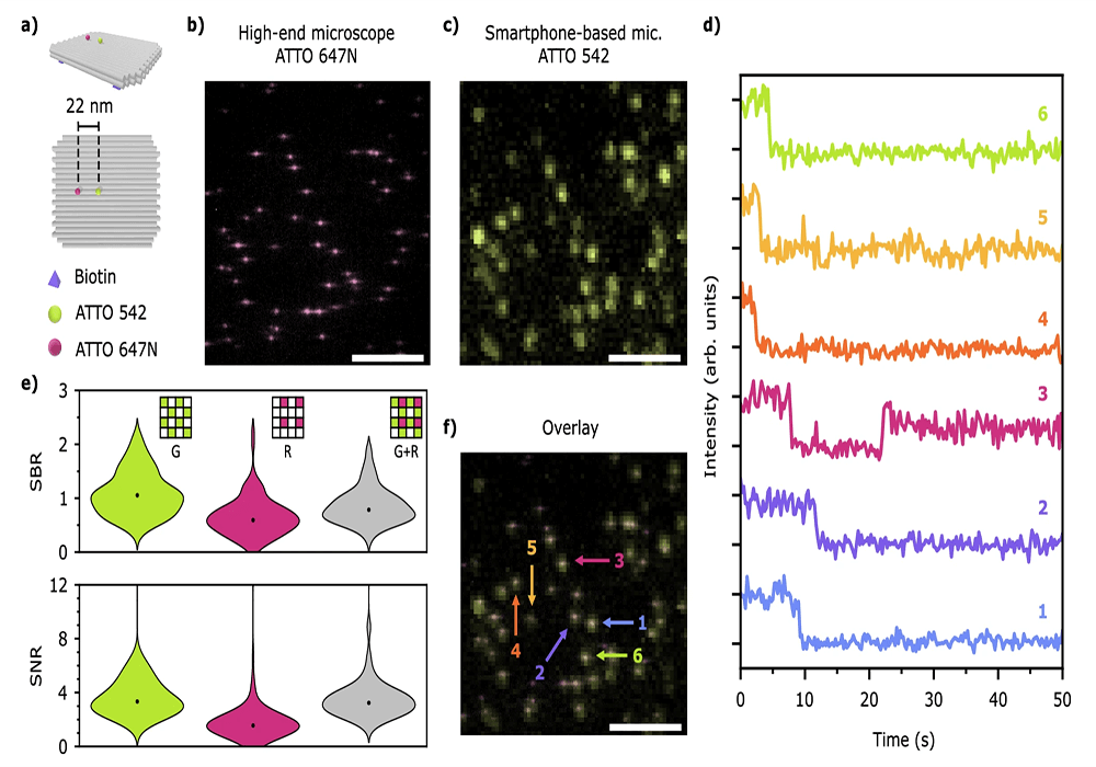 Direct Single-Molecule Detection and Super Resolution Imaging