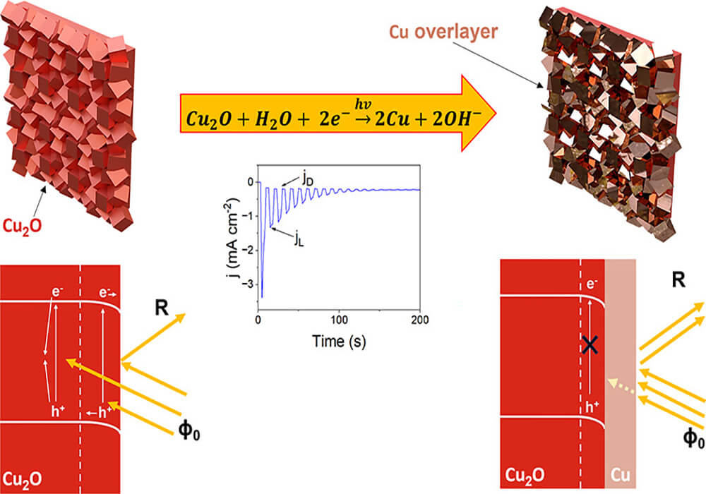 Insights into the Self-Inhibiting Photoreduction