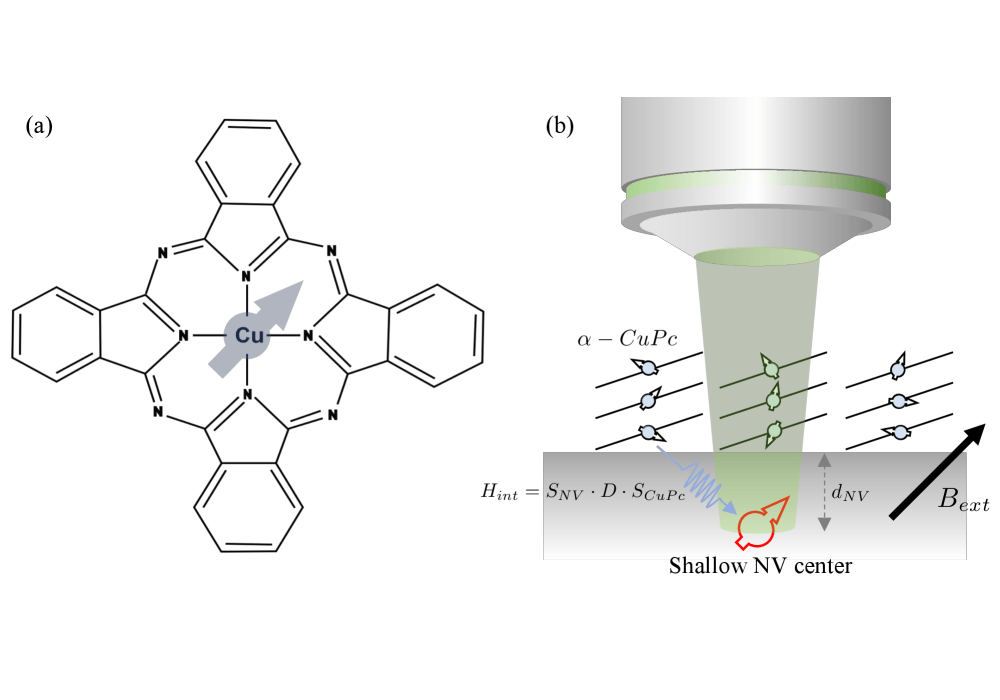 Quantum Sensing of Copper-Phthalocyanine Electron Spins